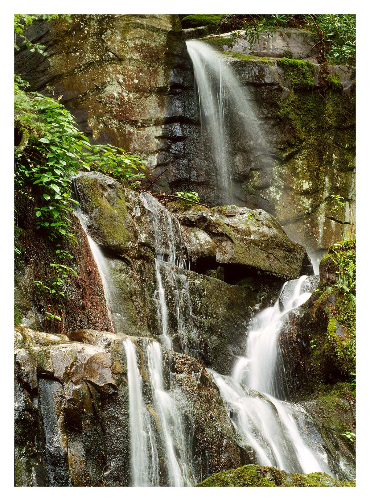 Smoky Mountains NP